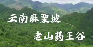 老山植物園（藥王谷）森林康養新理念，鄉村振興，美麗中國，大自然美景